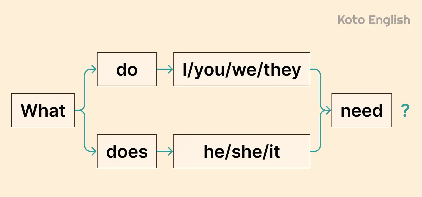 Present Simple WH Questions structure