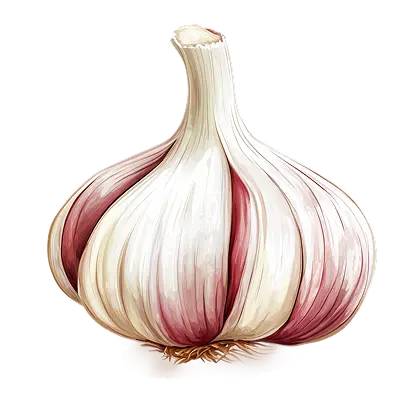 Garlic Definition