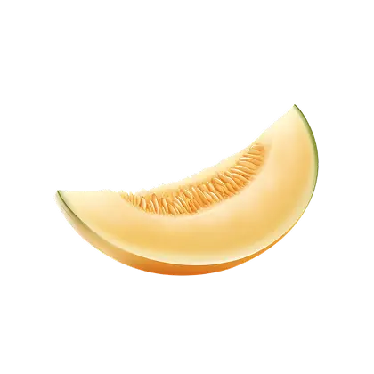 Melon Definition