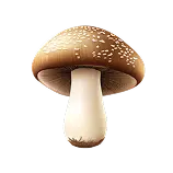 Mushroom Definition 1