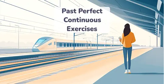 Past Perfect Continuous Exercise 1