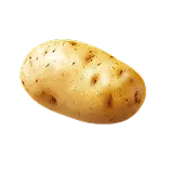 Potato Definition 1