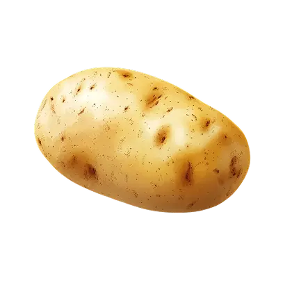 Potato Definition