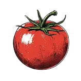 Tomato Definition 1