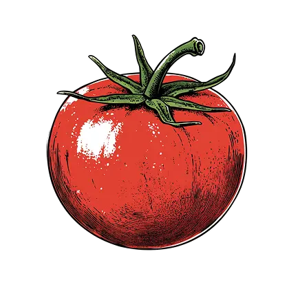 Tomato Definition
