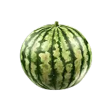 Watermelon Definition 1