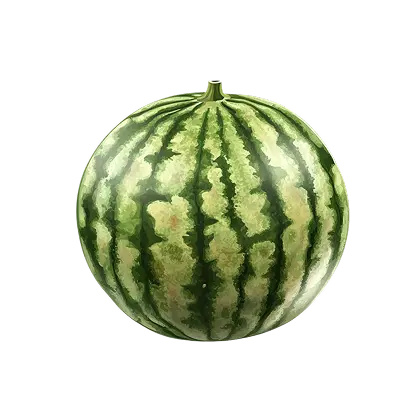 Watermelon Definition
