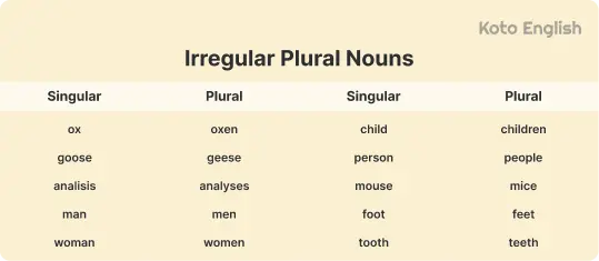 Irregular plural nouns 1