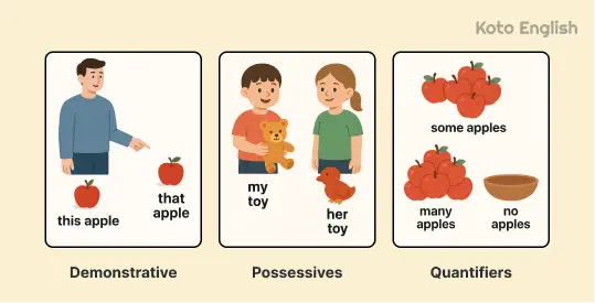 Basic rules for Determiners 1