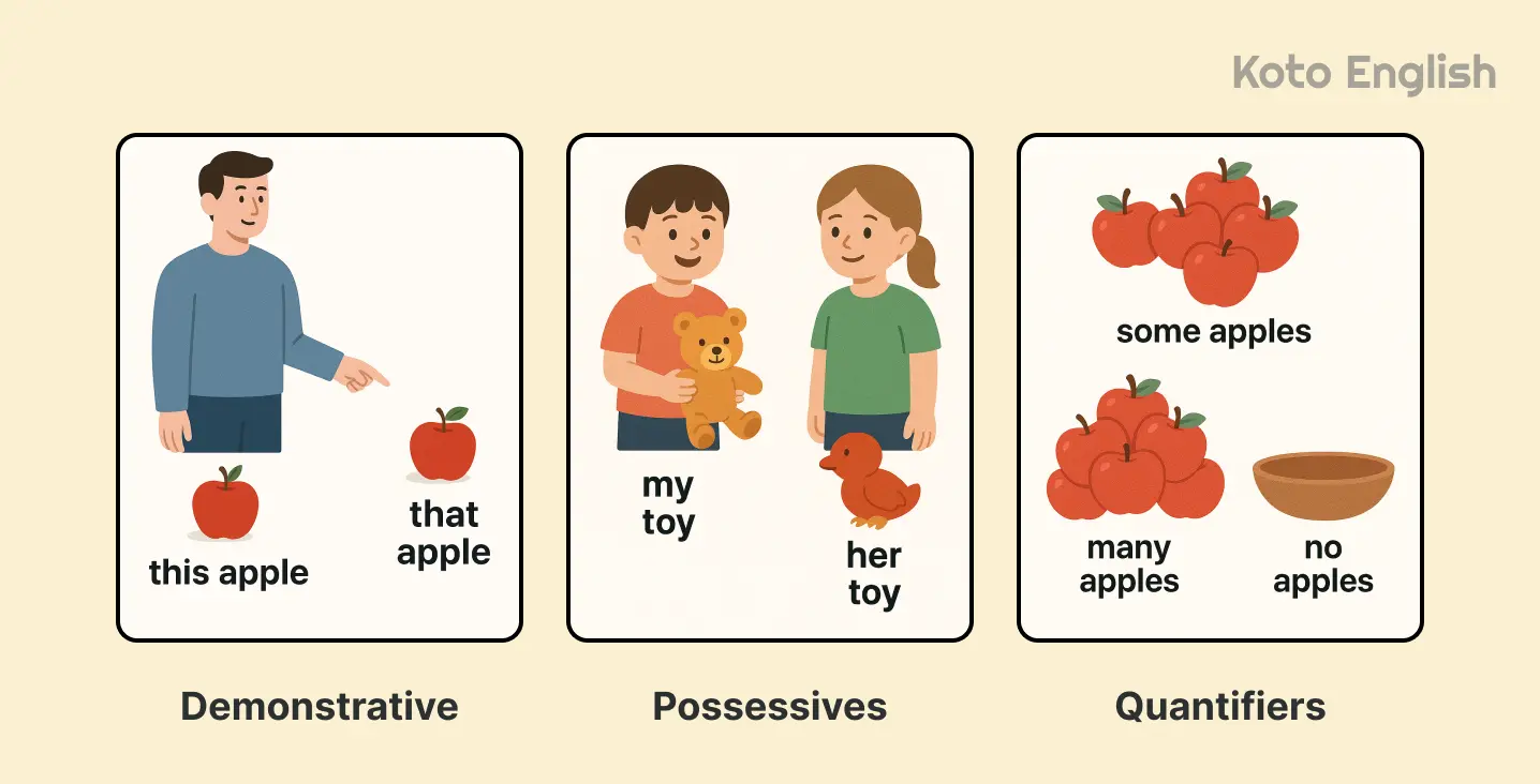 Basic rules for Determiners