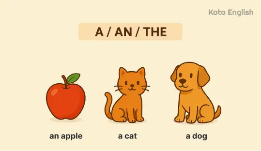 Basic rules for singular nouns 1