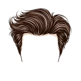 Hair Definition 1
