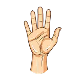 Hand Definition 1