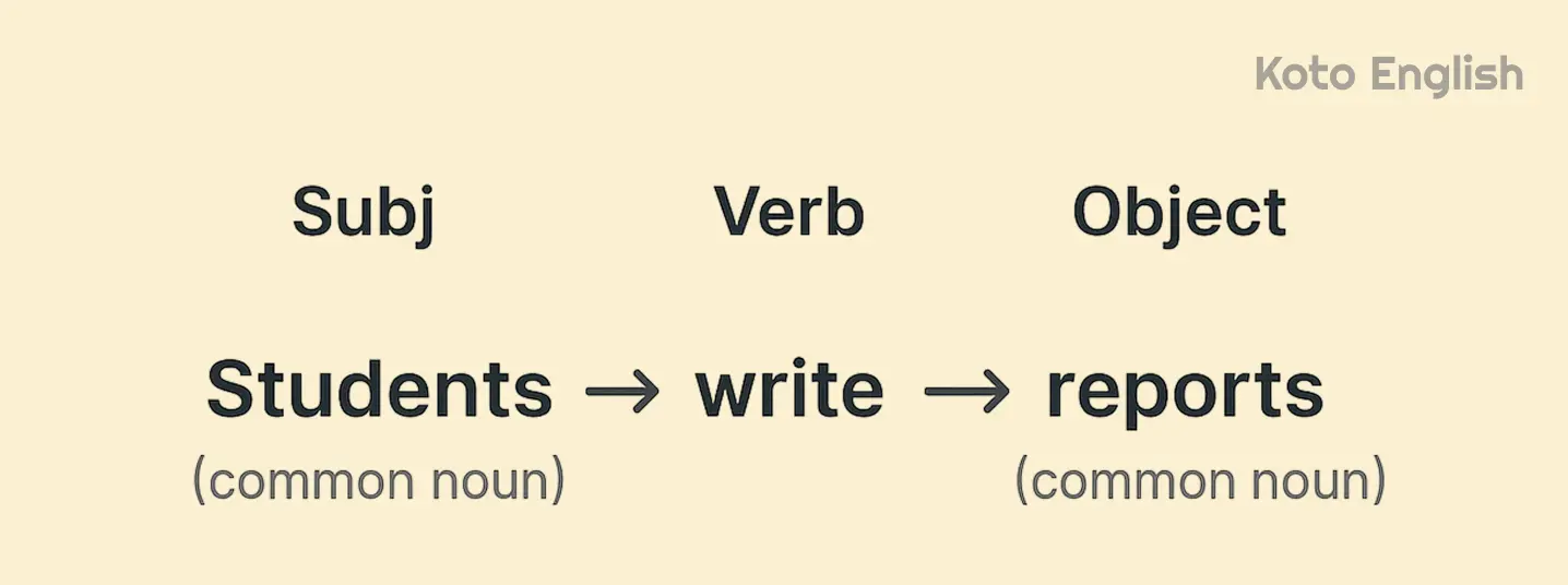 How to use common nouns in sentence