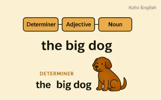 How to use determiners in sentences 1