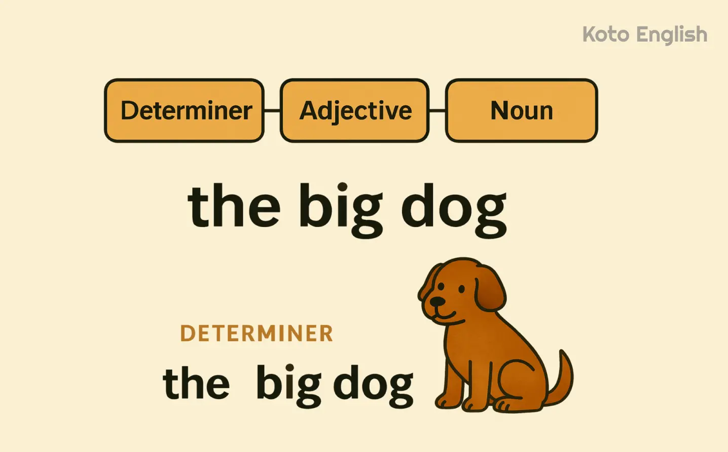 How to use determiners in sentences