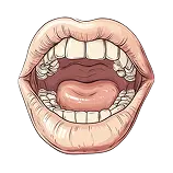 Mouth Definition 1