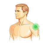 Shoulder Definition 1