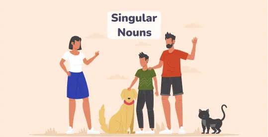 Singular Nouns in English 1