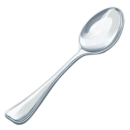Spoon Definition
