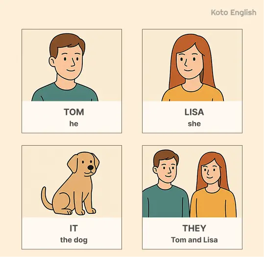 Types of Third Person Pronouns 1
