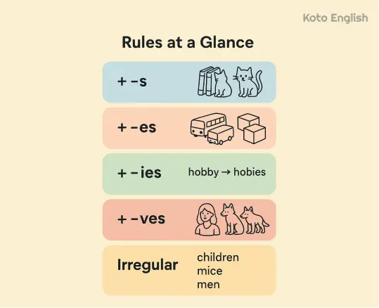 Types of plural nouns 1
