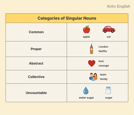 Types of singular nouns 1