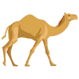 Camel Definition 1