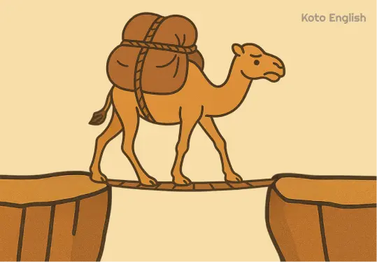 Camel Idioma 1