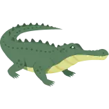 Crocodile Definition 1