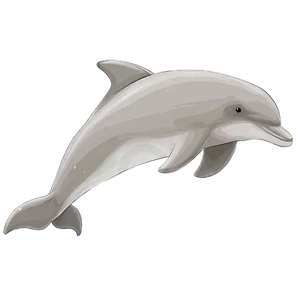 Dolphin Definition
