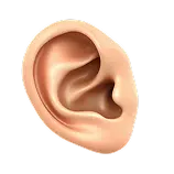 Ears Definition 1