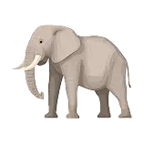 Elephant Definition 1