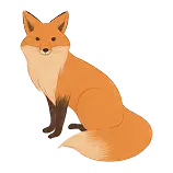 Fox Definition 1
