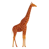 Giraffe Definition 1