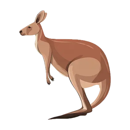 Kangaroo Definition
