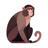 Monkey definition 1