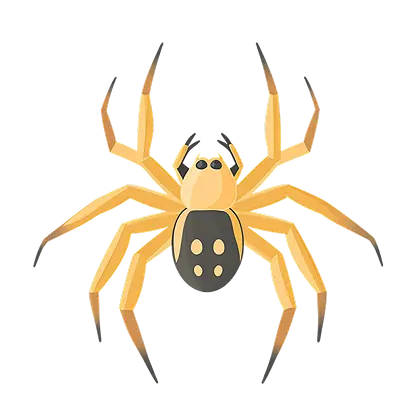 Spider Definition