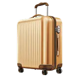 Suitcase Definition 1