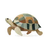 Turtle Definition 1