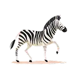 Zebra Definition 1