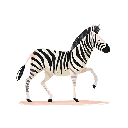 Zebra Definition