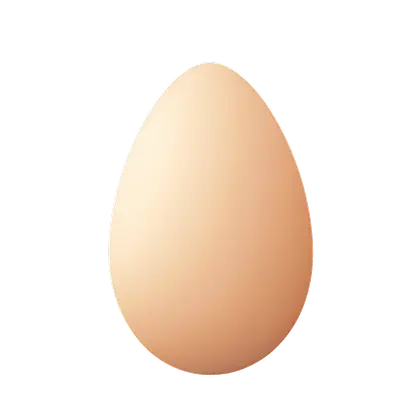 Egg Definition