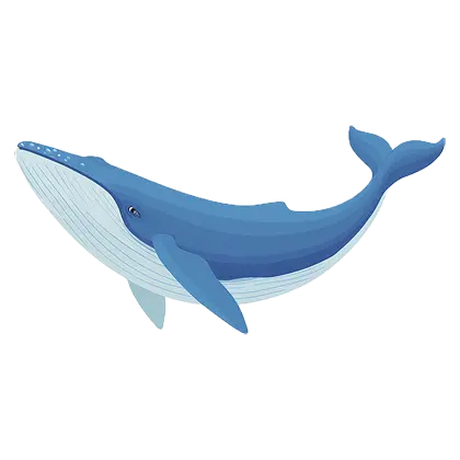 Whale Definition