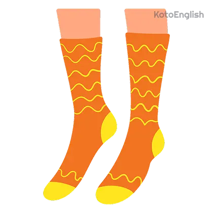Socks Definition