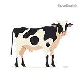 Cow Definition 1
