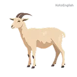 Goat Definition 1