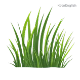 Grass Definition 1