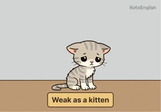 Kitten Idioma 1
