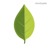 Leaf Definition 1